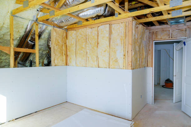 Best Insulation Installation Services in Falcon Heights, MN