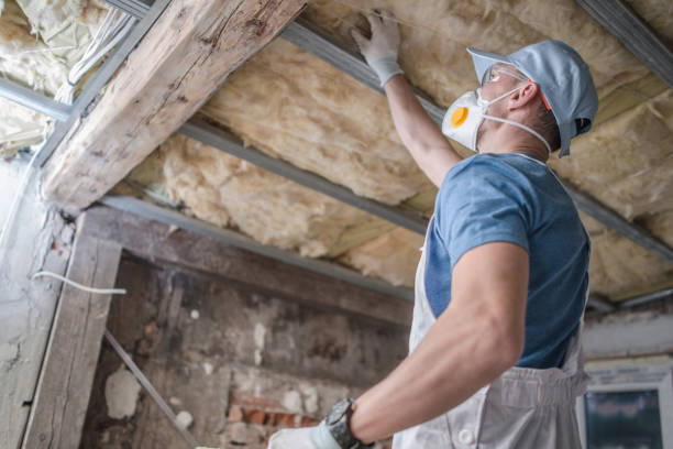 Best Specialty Insulation in Falcon Heights, MN