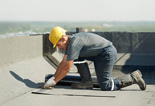 Best Insulation Maintenance and Repair in Falcon Heights, MN